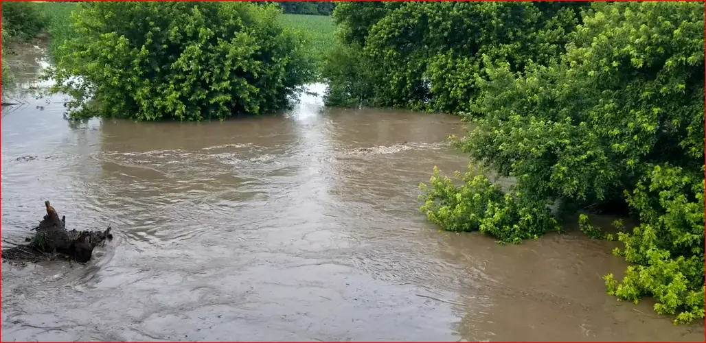 Over banks in Saline County