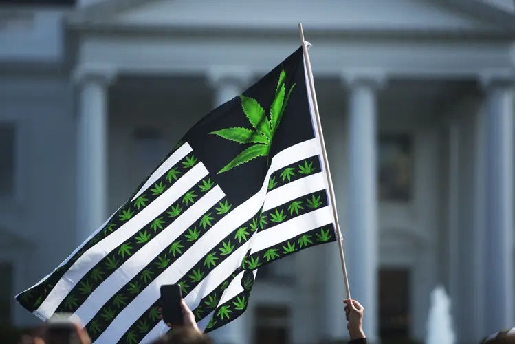 Trump reclasifica la marihuana medicinal como droga de menor riesgo