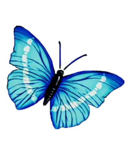 Jacqueline "Jackie" Tanner, 86, Nebr. City