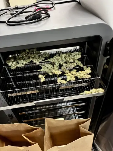 Marijuana grow room, drugs found during Alliance search warrant