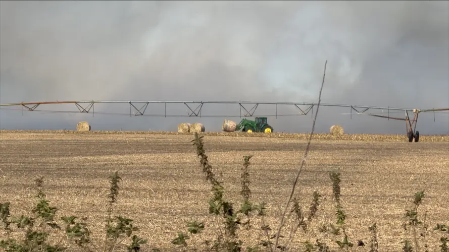 Multiple crews battle 30-acre cornfield blaze south of Norfolk