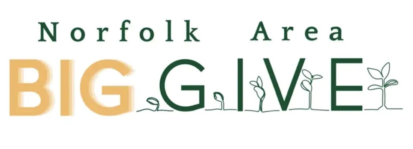 Norfolk Area Big Give recauda casi 191,000 dólares para organizaciones sin fines de lucro locales