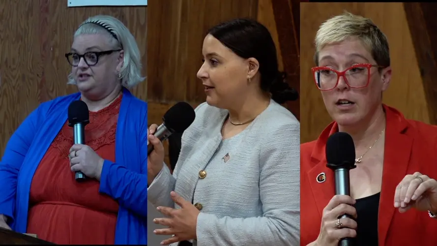 Democratic candidates for statewide office embrace challenger status in campaigns against Republican opponents