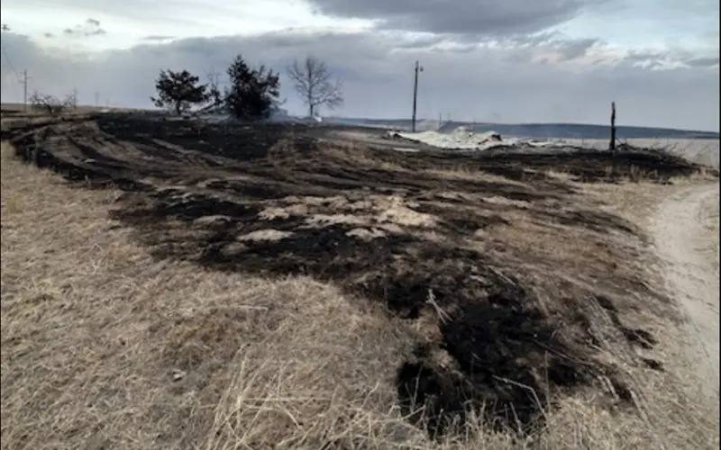 Mutual aid helps restore power to fire-ravaged region