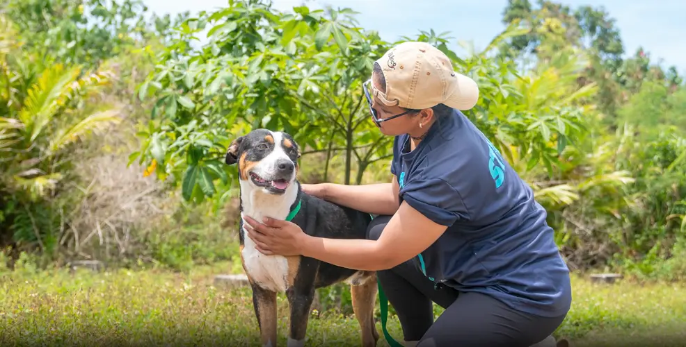 Camera stolen from GAIN animal shelter in Yigo