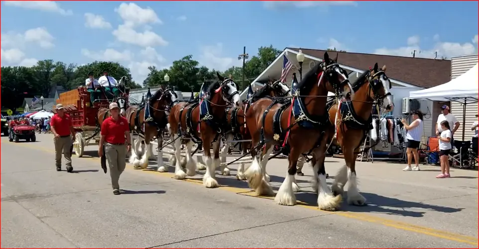 Huge crowds for 65th Annual National Czech Festival