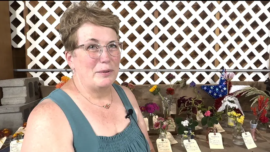 Open class elevates county fair fun
